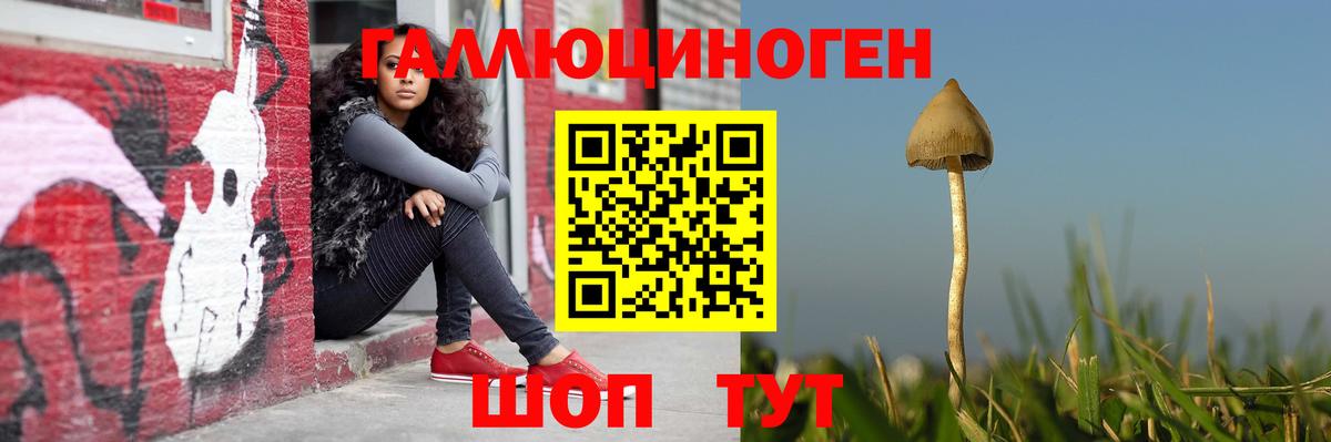 Галлюциногенные грибы ЛСД  Вход с VPN  Галлюциногенные грибы Cubensis  Кириши 